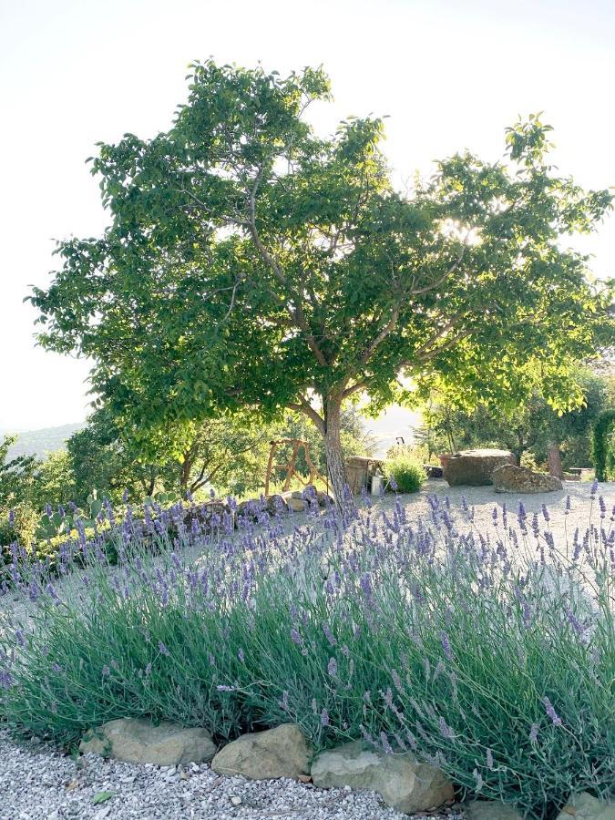 Villa Montanare Cortona Bagian luar foto