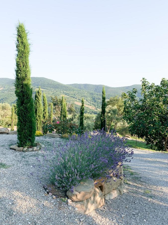 Villa Montanare Cortona Bagian luar foto