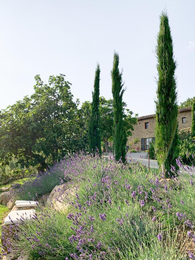 Villa Montanare Cortona Bagian luar foto
