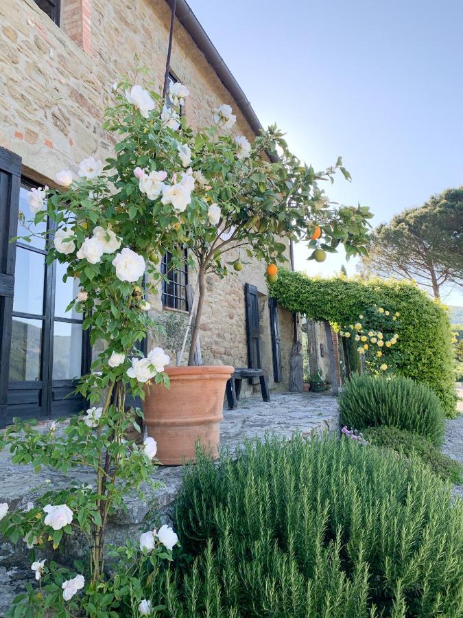 Villa Montanare Cortona Bagian luar foto
