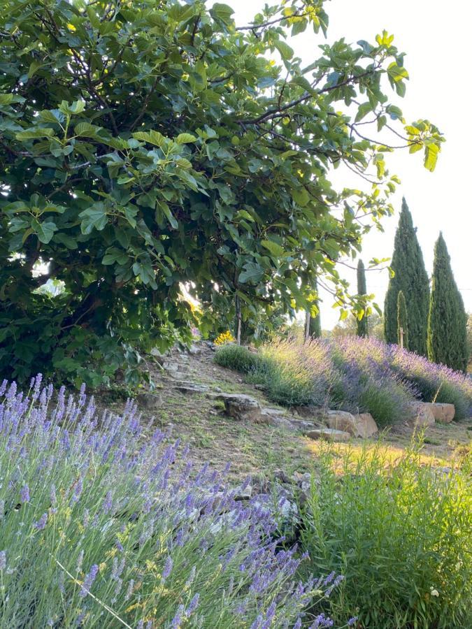 Villa Montanare Cortona Bagian luar foto