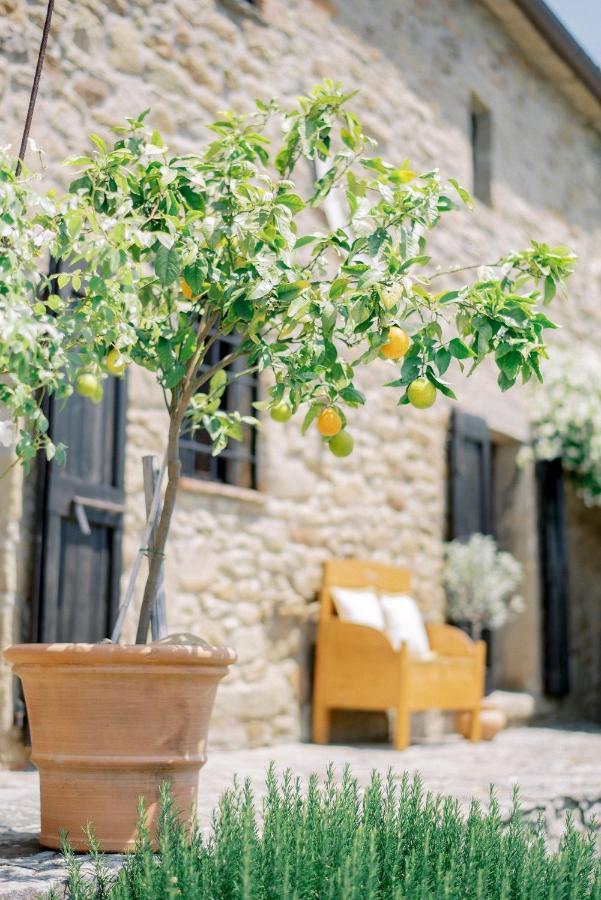 Villa Montanare Cortona Bagian luar foto